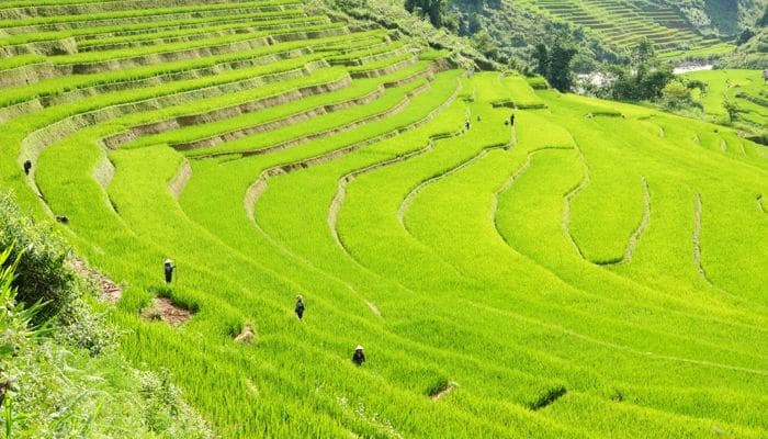 Ha-giang